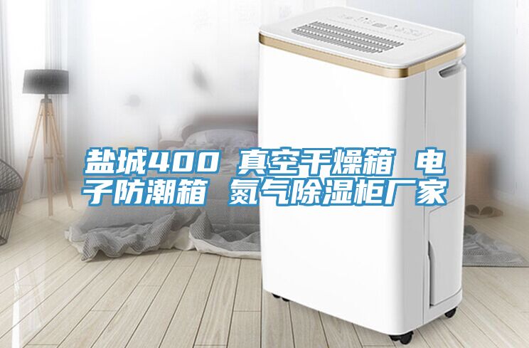 鹽城400℃真空干燥箱 電子防潮箱 氮氣除濕柜廠家