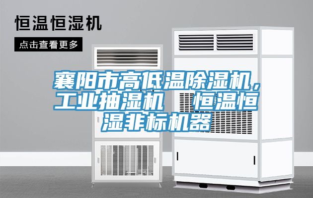 襄陽市高低溫除濕機，工業抽濕機  恒溫恒濕非標機器